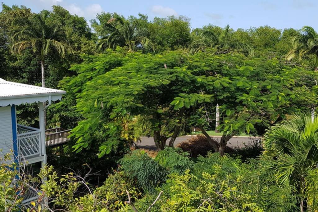 Paradisiac Lagoon Saint-Francois  Ngoại thất bức ảnh